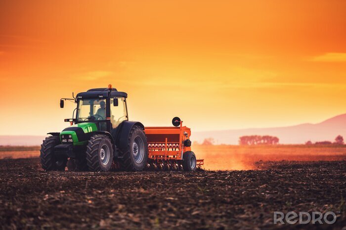 Canvas Beautiful sunset, farmer in tractor preparing land with seedbed cultivator