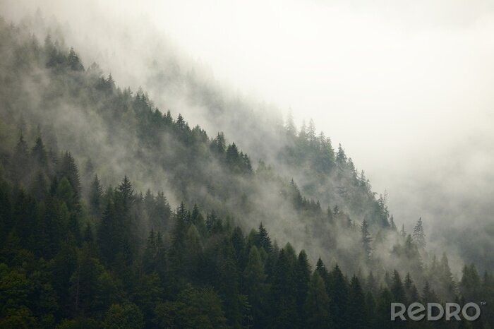 Canvas Beboste berghelling