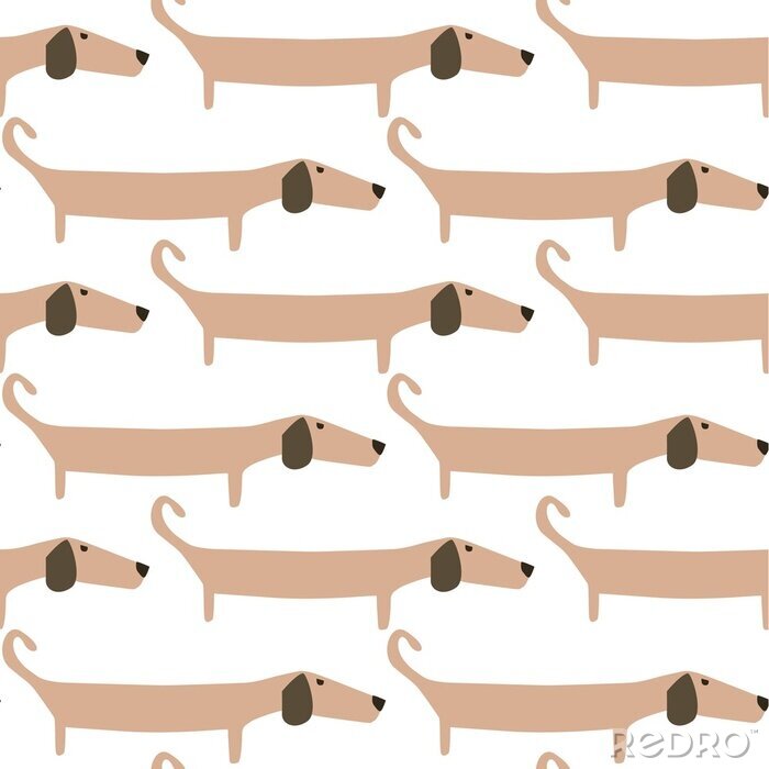 Canvas Beige teckel honden op witte achtergrond