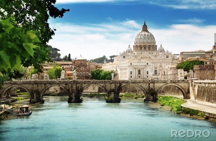 Canvas bekijken op de Tiber en de basiliek van St Peter in Vaticaan
