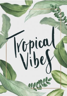 Bergamot sinaasappelvruchten bloemen en bladeren