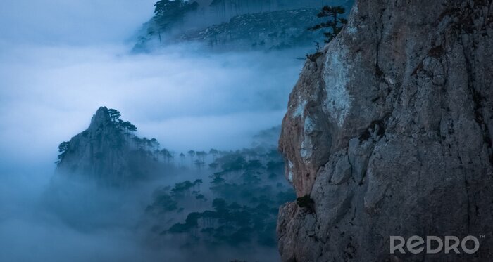 Canvas Bergen omgeven door mist