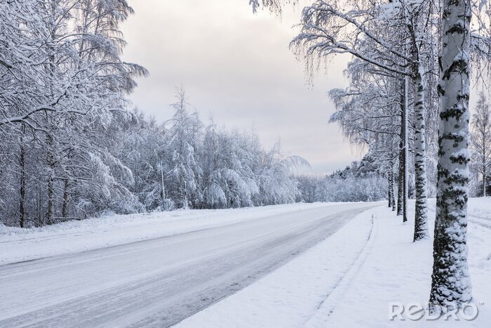 Canvas Berken langs de weg bedekt met sneeuw