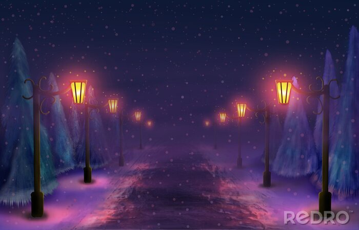 Canvas Besneeuwde steegje in het park 's nachts bij het licht van de lantaarns