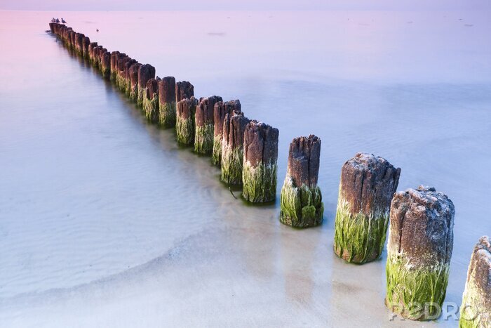 Canvas Bevroren zee in de winter