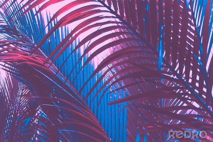 Canvas Bladeren van tropische planten in blauwviolette kleuren
