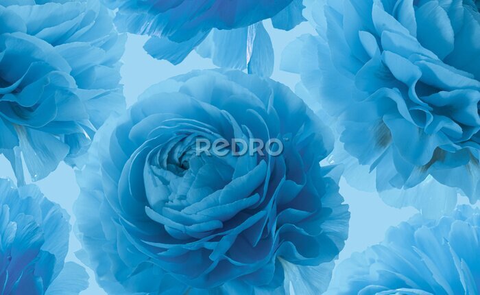 Canvas Blauw roze bloemen