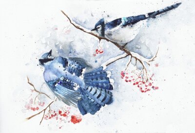 Canvas Blauwe aquarel vogels