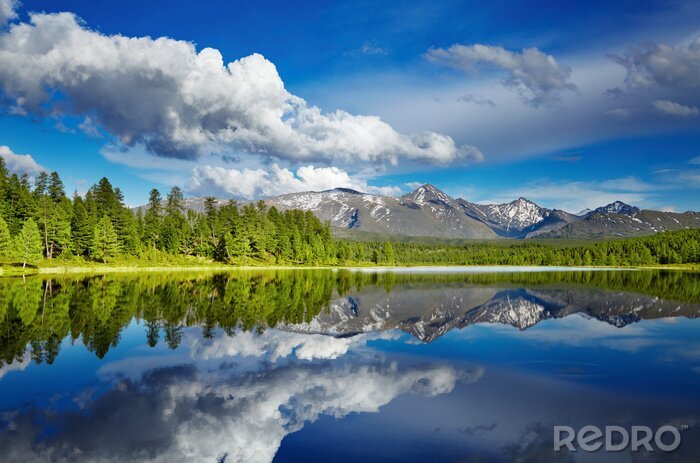 Canvas Blauwe lucht boven de bergen