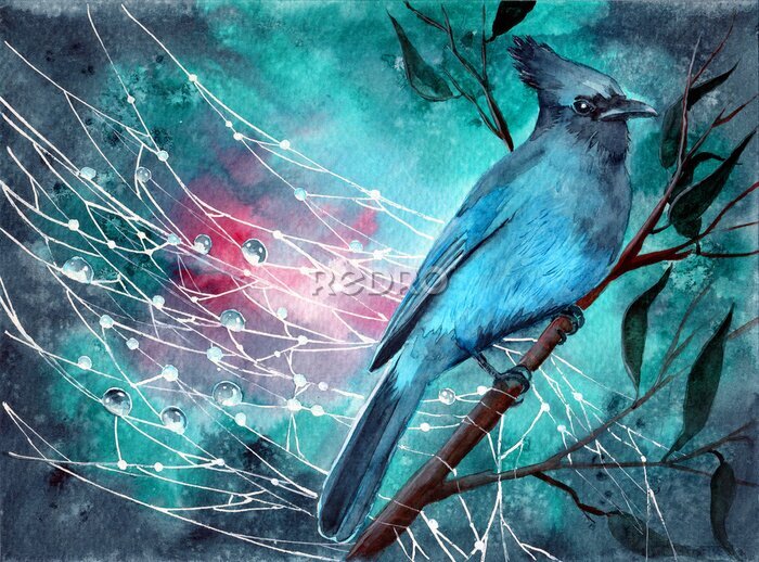 Canvas Blauwe vogel en dauwdruppels
