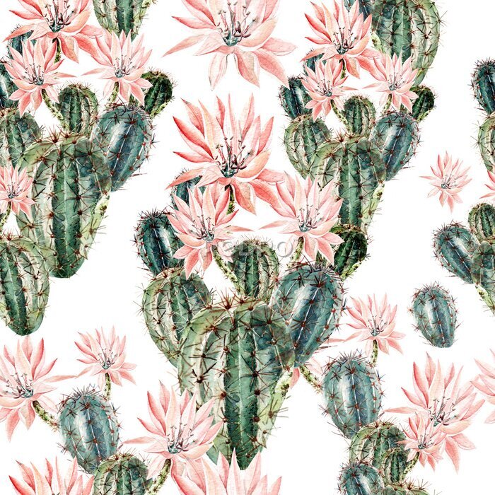 Canvas Bloeiende cactussen met bloemen geschilderd in aquarel