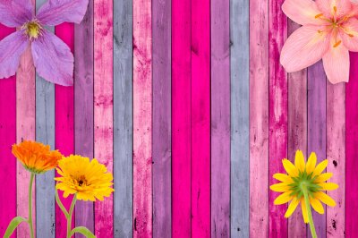 Bloemen op een achtergrond van geschilderde roze-blauwe planken
