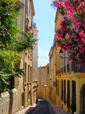 Bloemen voering een smal straatje in het oude Montpellier, Frankrijk