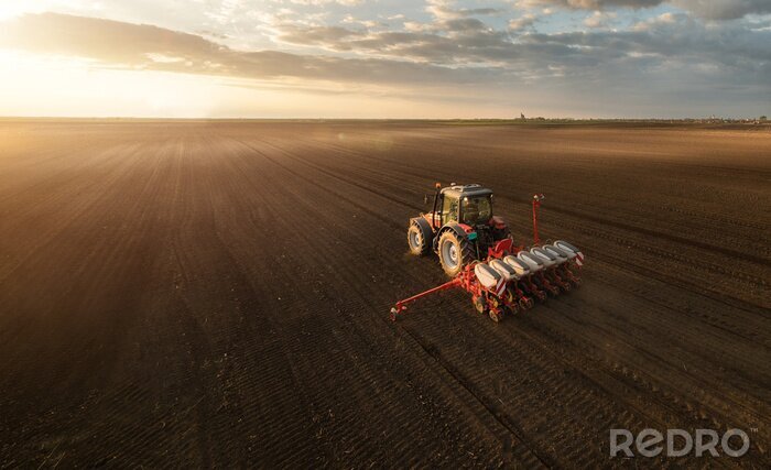 Canvas Boer met tractorzaad