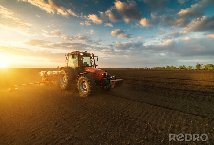 Canvas Boer met zaaimachine - in de lente zaaien gewassen op landbouwgebied