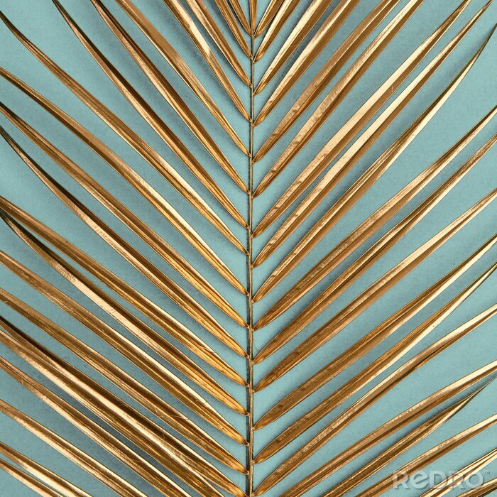 Canvas Boho palmblad