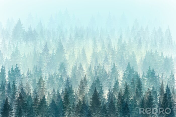 Canvas Bomen in de ochtend mist. Digitale schilderij.