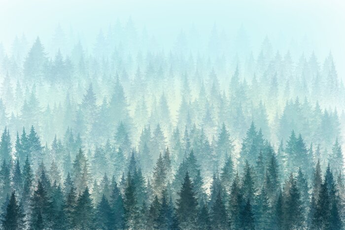 Canvas Bomen in de ochtend mist. Digitale schilderij.
