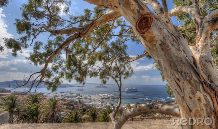 Canvas Bomen op de achtergrond van het Griekse landschap
