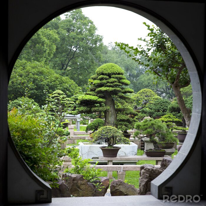 Canvas Bonsai Garden - Suzhou - China