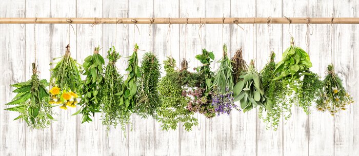 Canvas Bosjes verse kruiden op een houten achtergrond