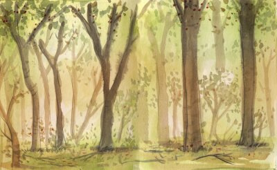 Canvas bosque en acuarela