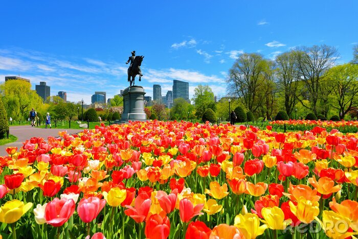 Canvas Boston Public Garden-tulpen en George Washington-Standbeeld op een Mooie de Lentedag