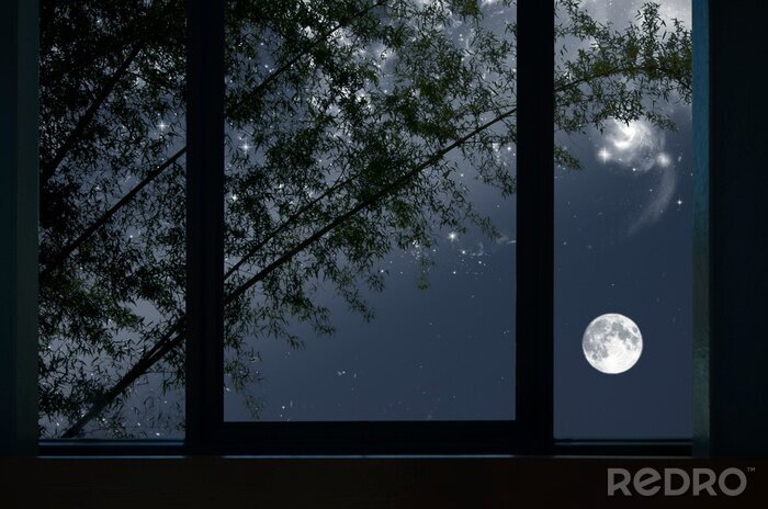 Canvas Bright moon and stars with bamboo tree in window view