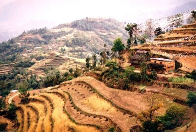 Canvas Brown terrasvormige velden in Nepal