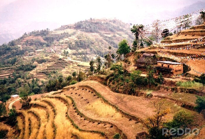 Canvas Brown terrasvormige velden in Nepal
