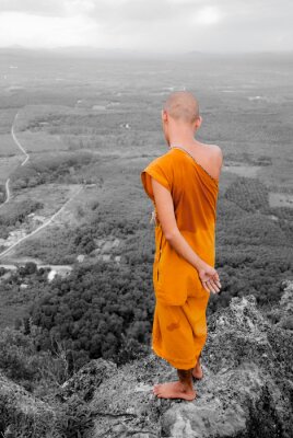 Canvas Budhist monnik