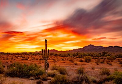Canvas Buetiful Sunset in the Desert, Quartzsite Arizona