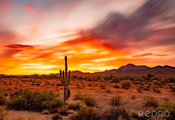 Canvas Buetiful Sunset in the Desert, Quartzsite Arizona