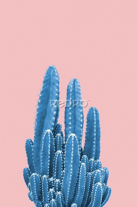 Canvas Cactus in pot op pastel achtergrond