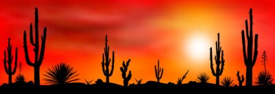Canvas Cactussen in de woestijn tegen een rode zonsonderganghemel