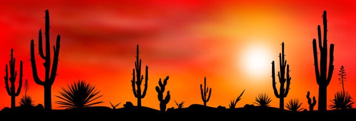 Canvas Cactussen in de woestijn tegen een rode zonsonderganghemel
