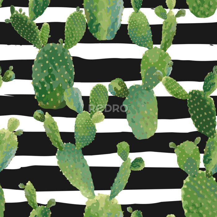 Canvas Cactussen op zwart-wit gestreepte achtergrond