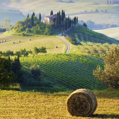 Canvas campagna Toscana, Italia