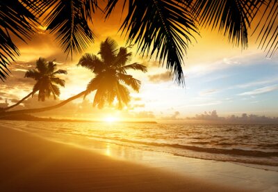 Caraïbische zee en palmbomen