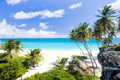 Caraïbische zee en strand