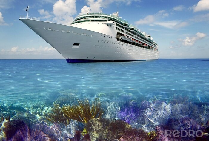 Canvas caribbean reef bekijken met cuise vakantie boot