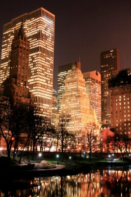 Central Park en de skyline van Manhattan, New York City