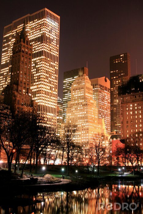 Canvas Central Park en de skyline van Manhattan, New York City
