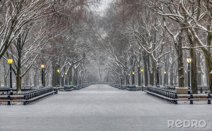 Canvas Central Park in winter