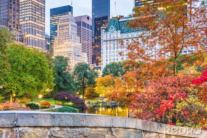 Canvas Central Park, New York City Autumn