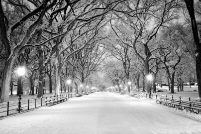 Canvas Central Park, NY covered in snow at dawn