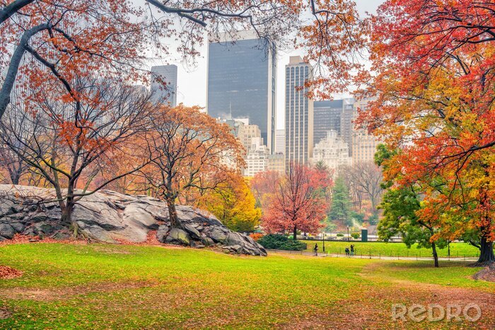 Canvas Central Park op regenachtige dag, New York City, Verenigde Staten
