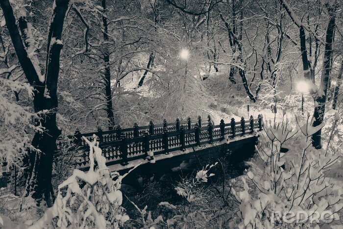 Canvas Central Park Winter