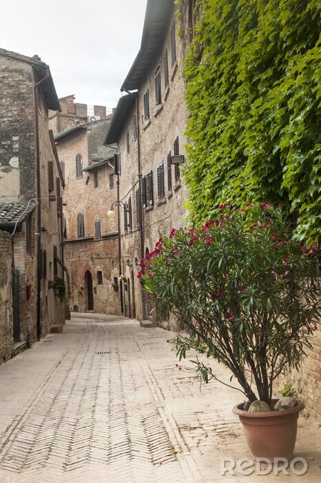 Canvas Certaldo (Florence)