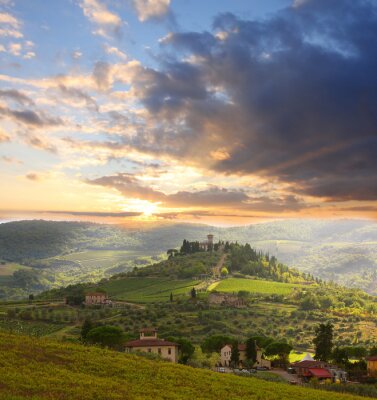 Chianti wijngaard landschap in Toscane, Italië